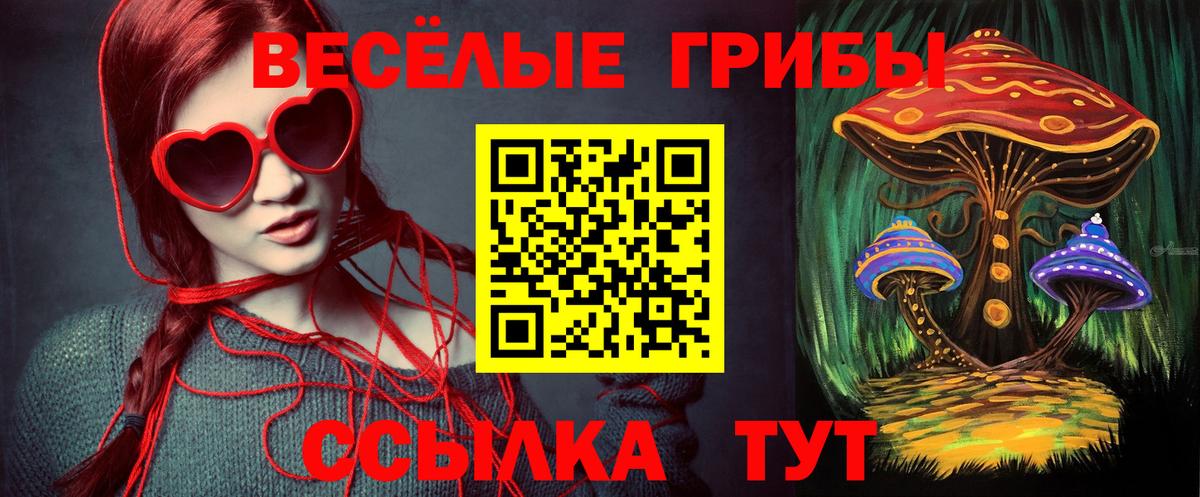 Баксан  Псилоцибиновые грибы мицелий  купить наркотик  Вход с VPN 